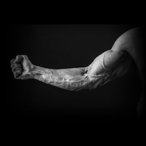 محصولات تقویت دست