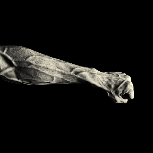 محصولات تقویت مچ دست